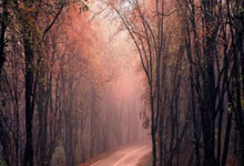 澳波：我们不能任由这个赛季的联赛就这么稀里糊涂地过去.