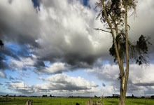 MK体育：[棋牌]乐弈场第42场周赛 龚景荣斩获实力积分双榜冠军.