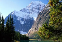 海港亚冠输得有点冤？茹萨其实可以不被停赛？.