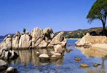 海港亚冠输得有点冤？茹萨其实可以不被停赛？.